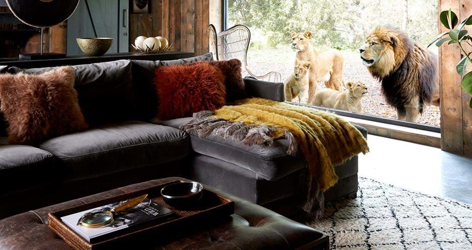 Port Lympne Safari Park accommodation - Beautiful camping and glamping site featured in HolidayFox article