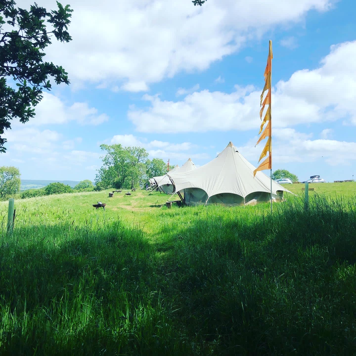 Field 725 Eco Camping and Glamping – Somerset accommodation - Beautiful camping and glamping site featured in HolidayFox article