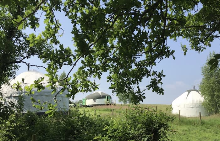 Hunger Hill Yurts - Devon accommodation - Beautiful camping and glamping site featured in HolidayFox article