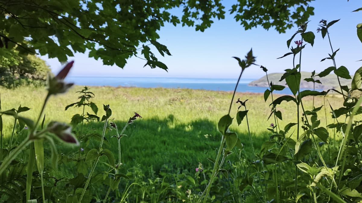 The Hide accommodation - Beautiful camping and glamping site featured in HolidayFox article