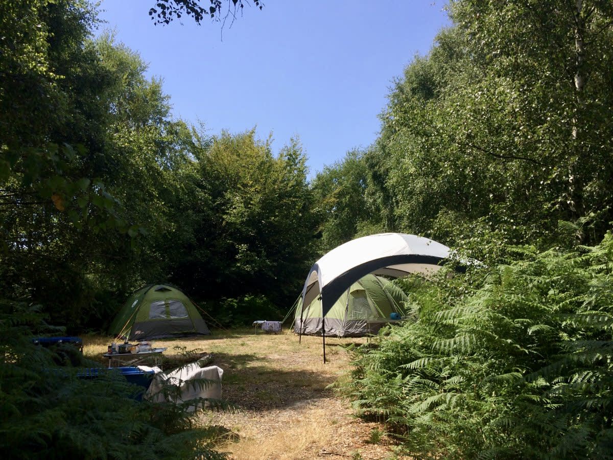 Beech Estate Campsite, East Sussex accommodation - Beautiful camping and glamping site featured in HolidayFox article