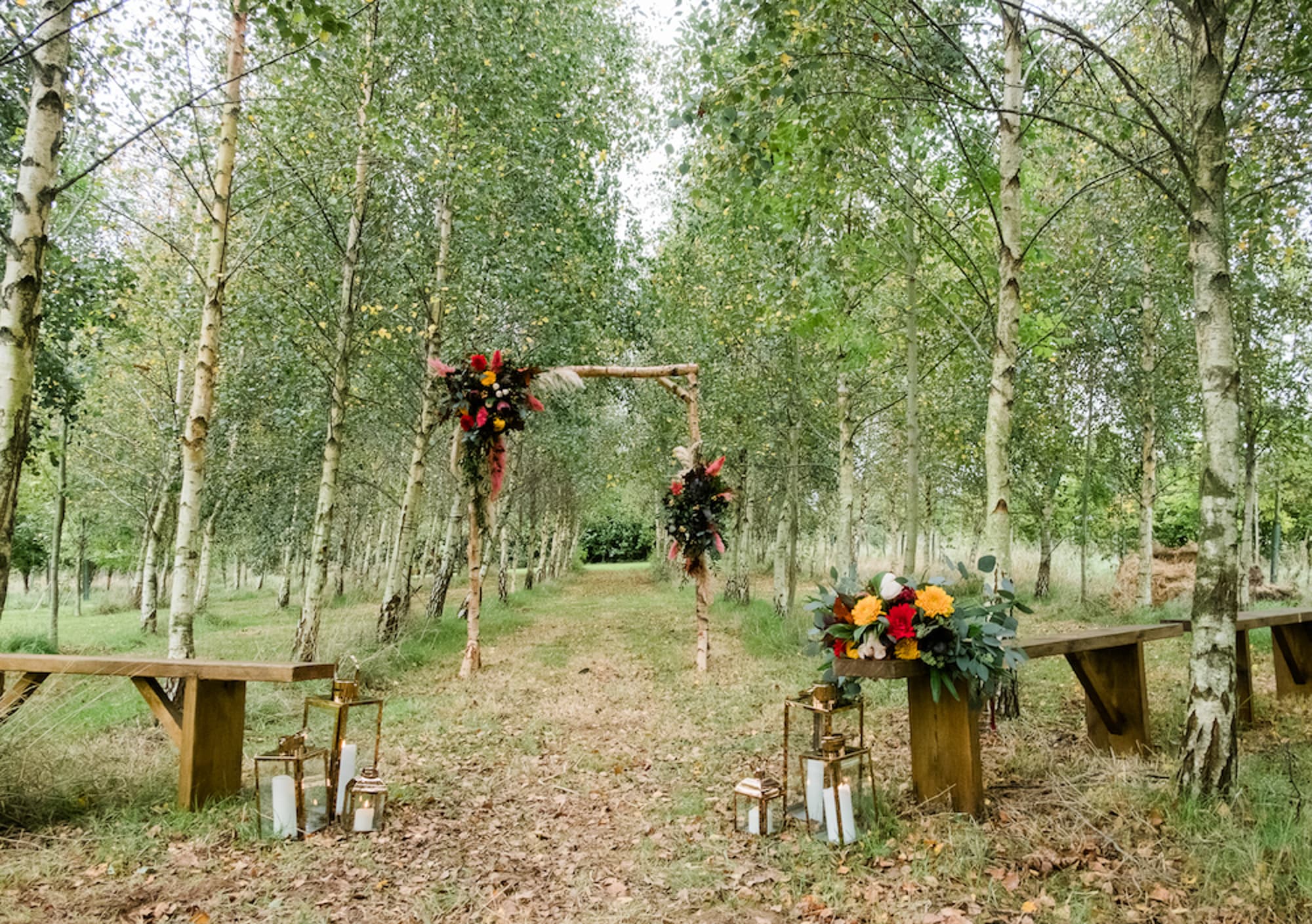 Higher Holcombe, Devon accommodation - Beautiful camping and glamping site featured in HolidayFox article