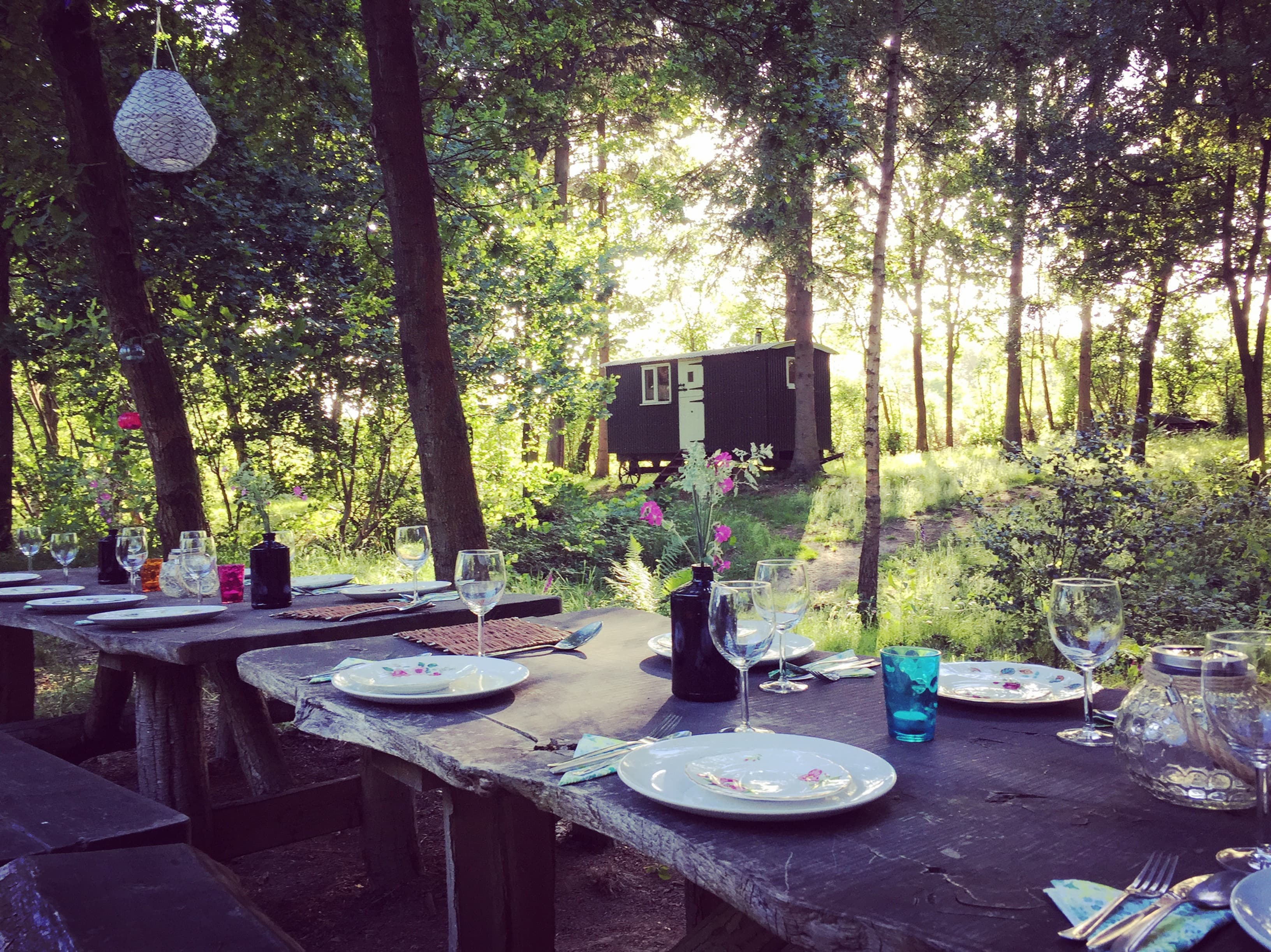 The Green Escape, Surrey accommodation - Beautiful camping and glamping site featured in HolidayFox article