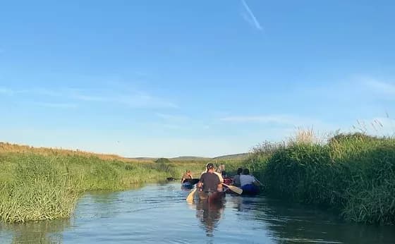 New Wharf Campsite, West Sussex accommodation - Beautiful camping and glamping site featured in HolidayFox article