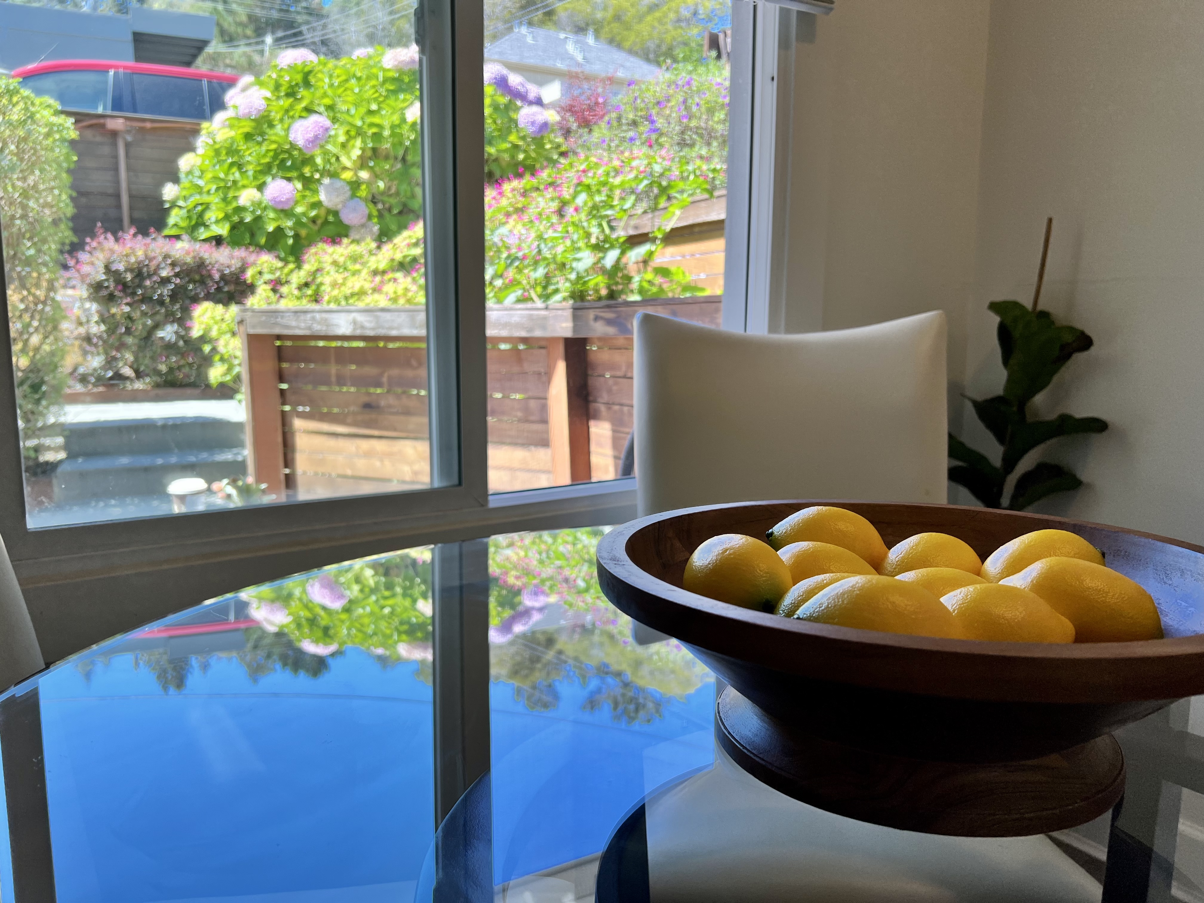 Serene Garden Oasis in Belmont 1/1  photo 5