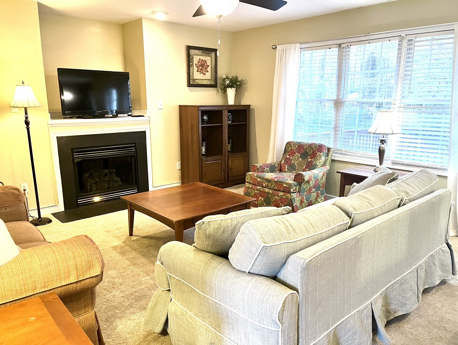 Warm and Spacious Furnished Home photo 2