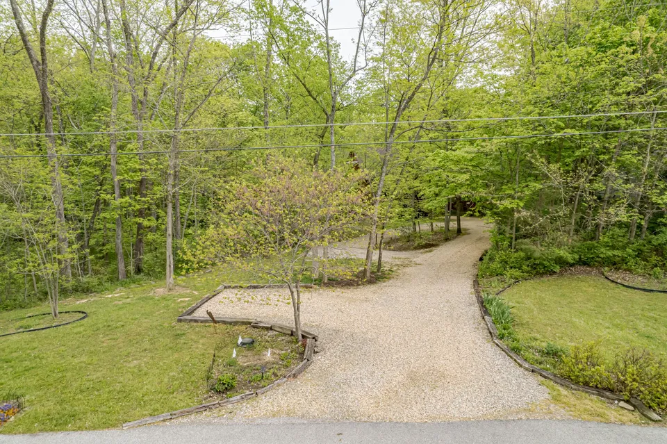 Near 64 Treehouse 2-acre Private Woodland/Wildlife photo 3