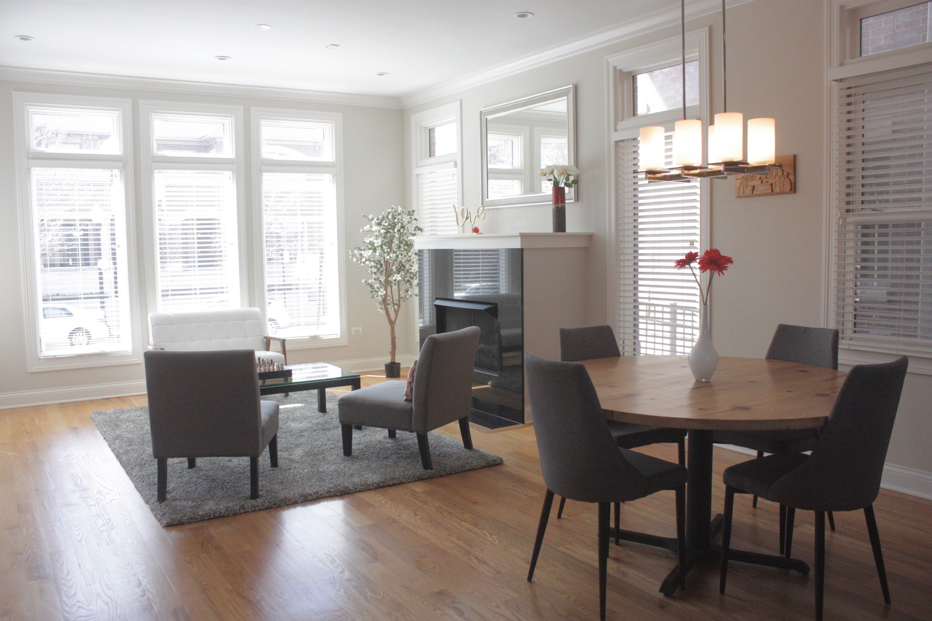 Enjoy Chicago -  Urban Living with a Suburban Feel photo 3
