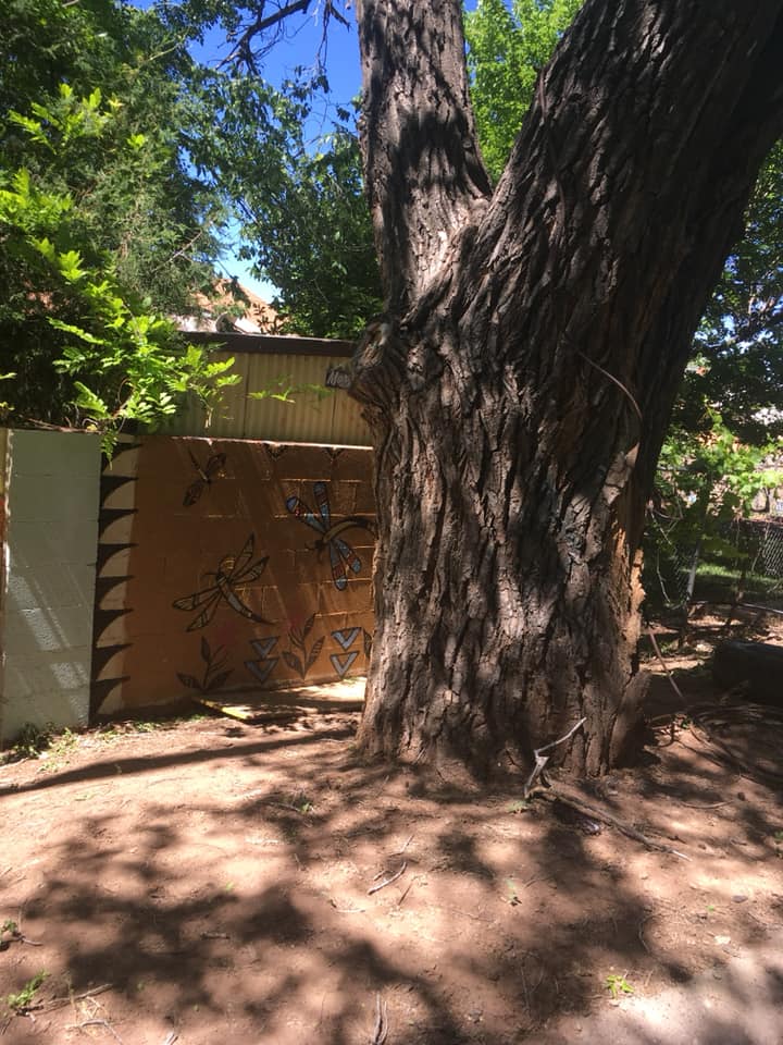 Urban Permaculture  Stay Albuquerque  photo 4