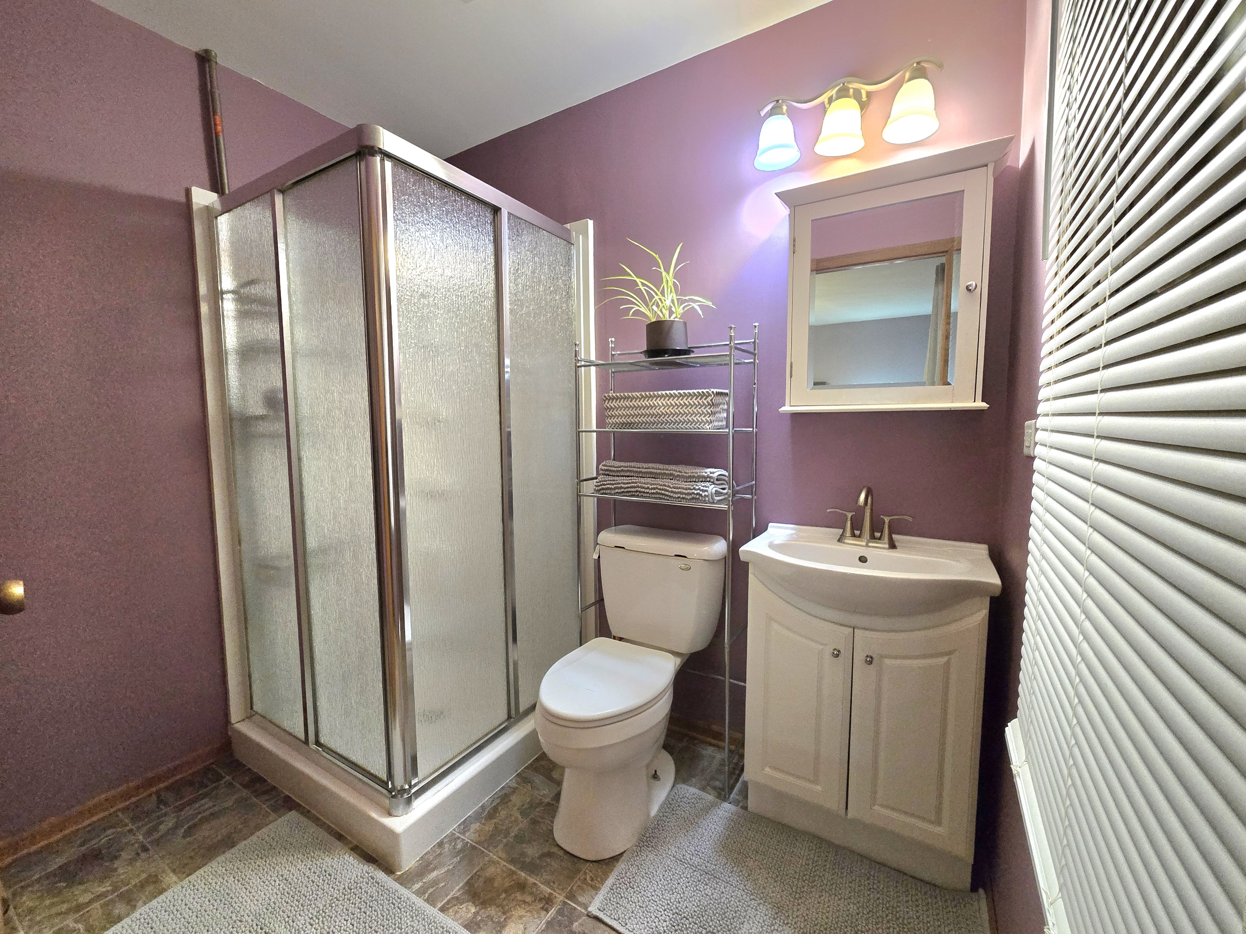 3 bedroom 2.5 bath lovely home in Aurora IL  photo 3