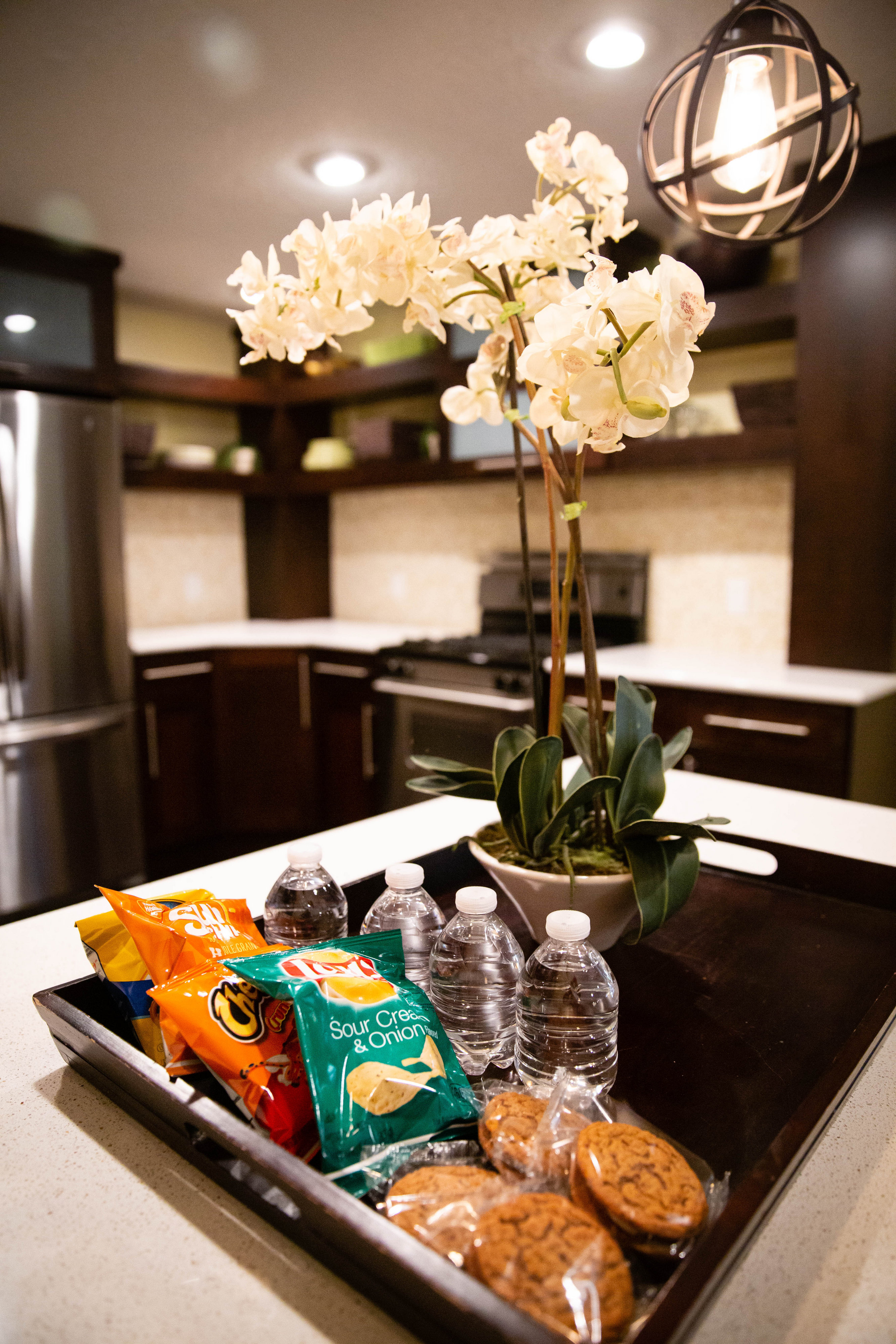 TRENDY SPACIOUS BASEMENT APARTMENT photo 2