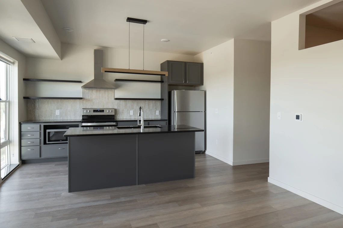 Luxury 1 Bedroom Apartment photo 2