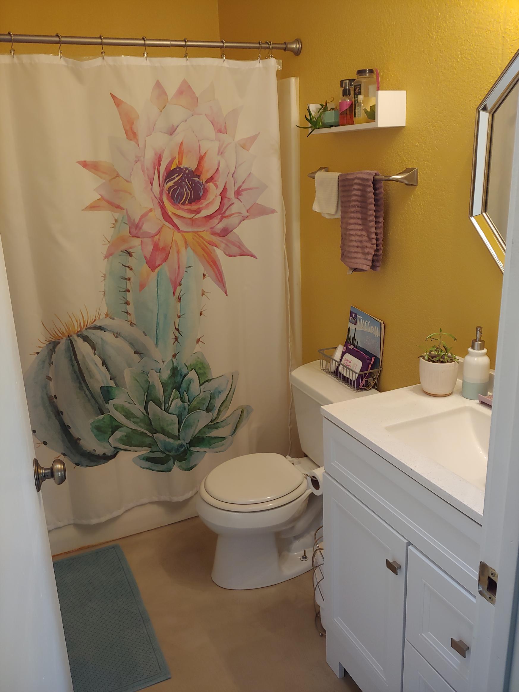 Downtown Tucson Home with Southwest Charm  photo 4