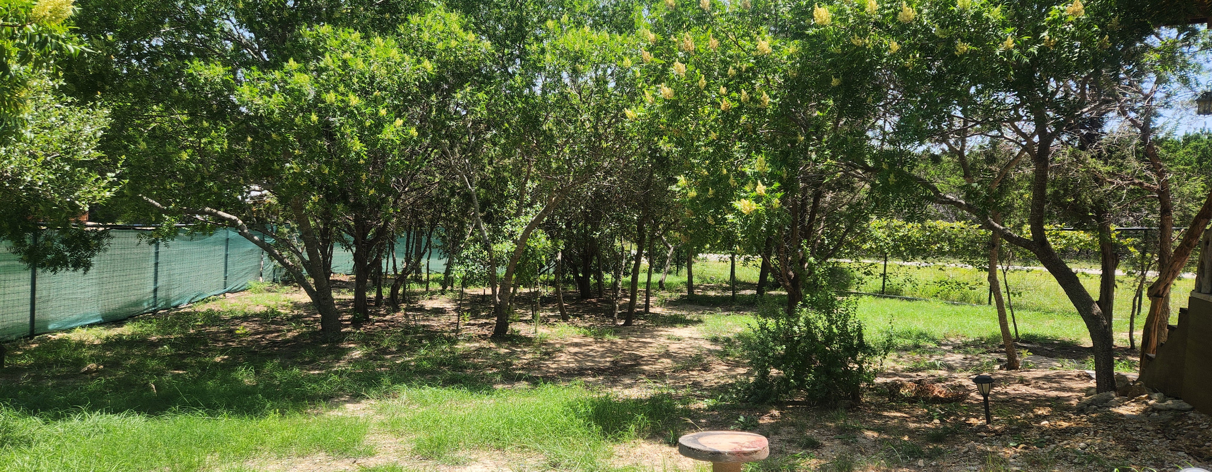 MewMaws Country Cabin photo 5