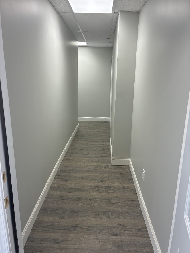 Spacious & Newly Renovated 3 Bedroom / 1 Bath Apar photo 3