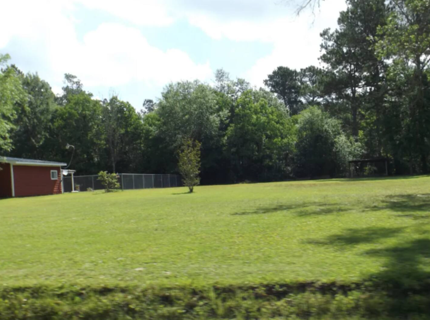 Pure Country, plenty of space & trees, relaxing photo 3