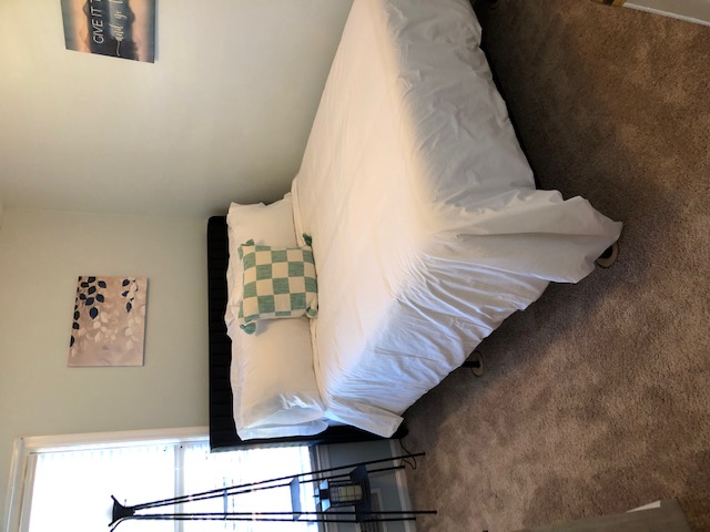 Cozy, 3 Bedroom House photo 3