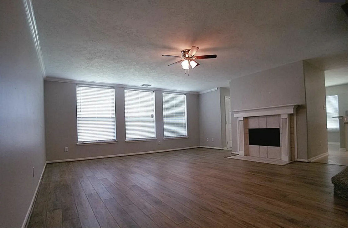 Modern & pet friendly House in Glenholly photo 4