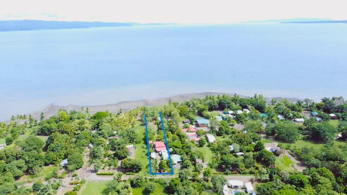 Beachfront Cabin | Nature Paradise | Starlink photo 3