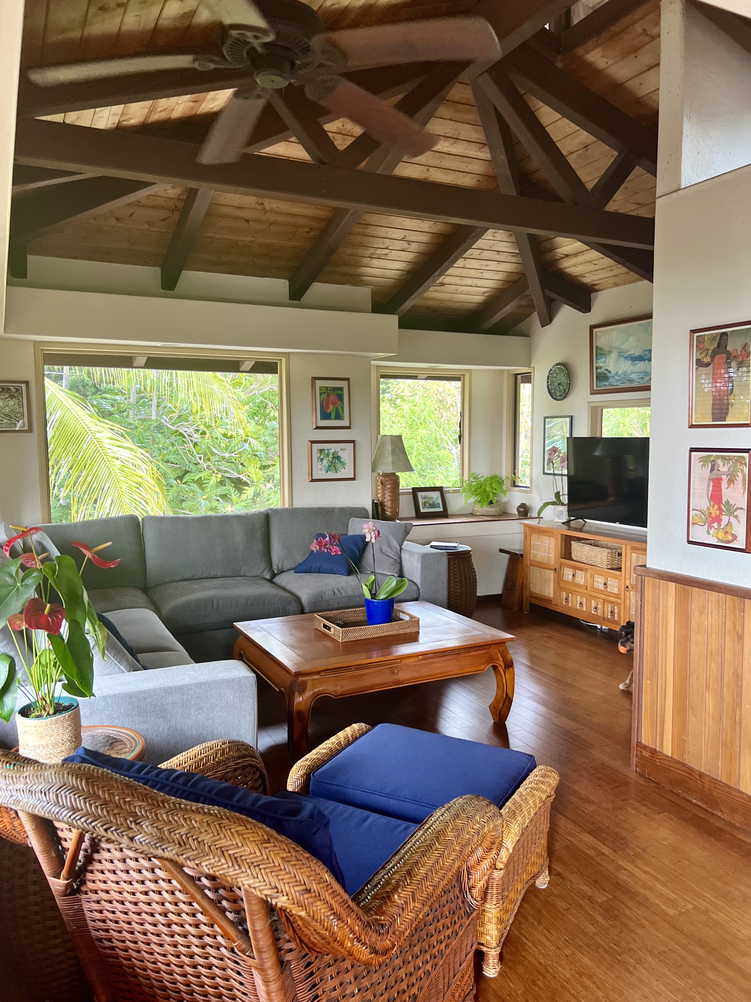 Peaceful, Private, Comfortable Retreat, 3/4 acres  photo 4