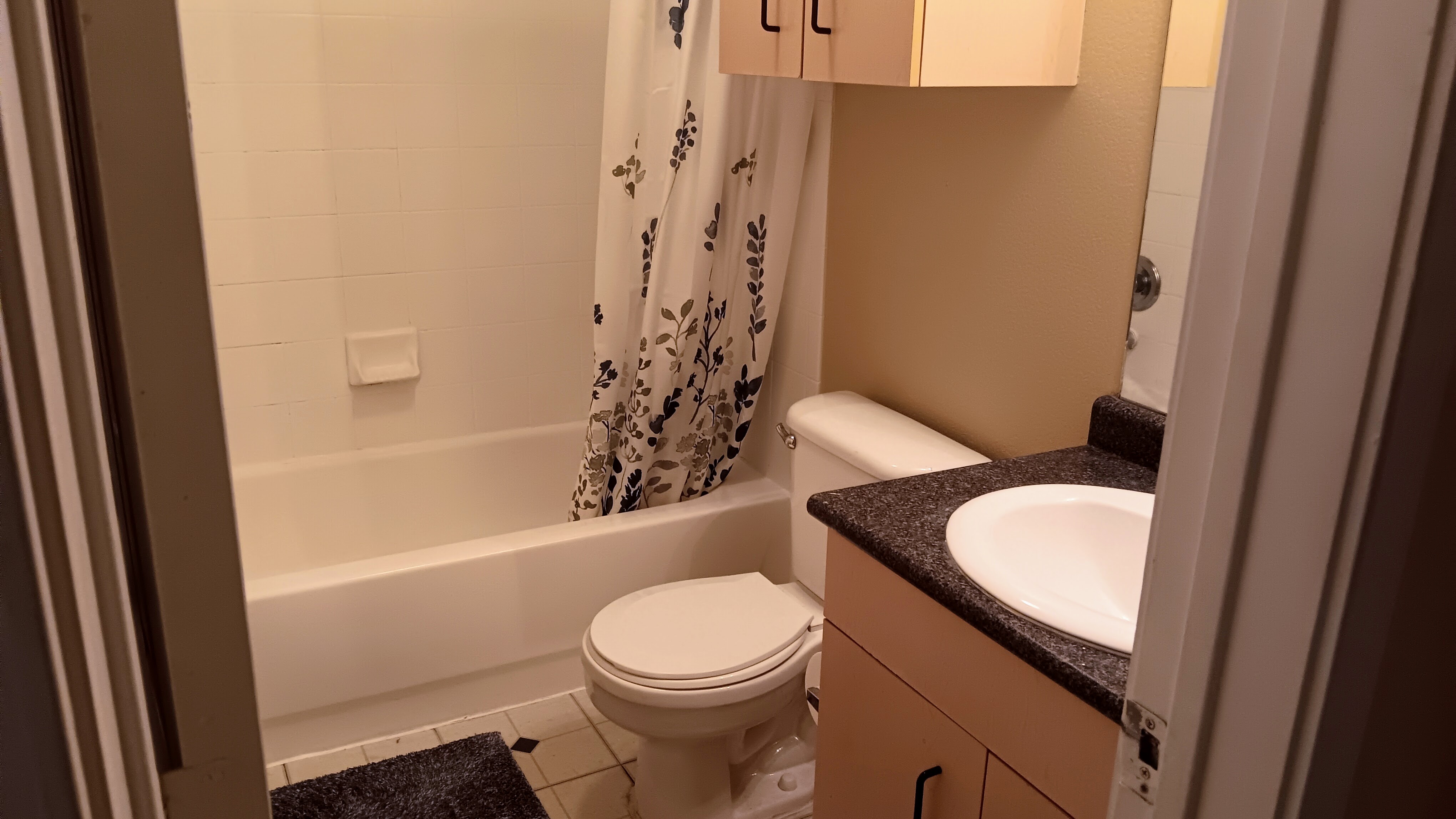Lease Takeover at Ballpark North, $670/month photo 5