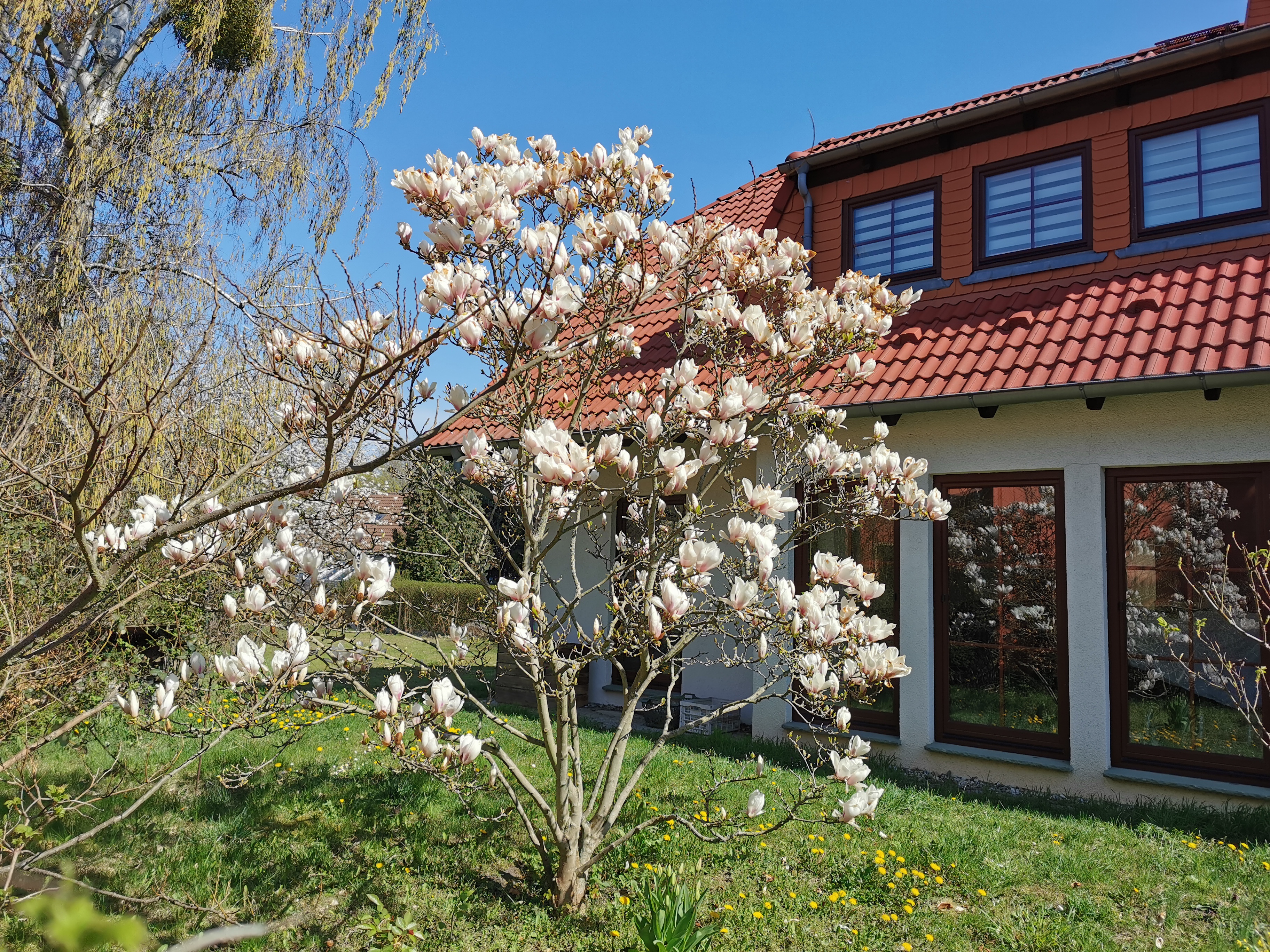 Furn. house near Berlin, 6 rooms, sleep 8 photo 2