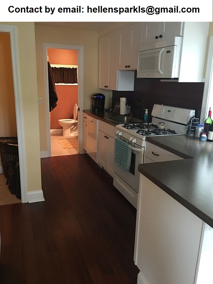 Completely renovated 1bd,1ba apartment photo 4