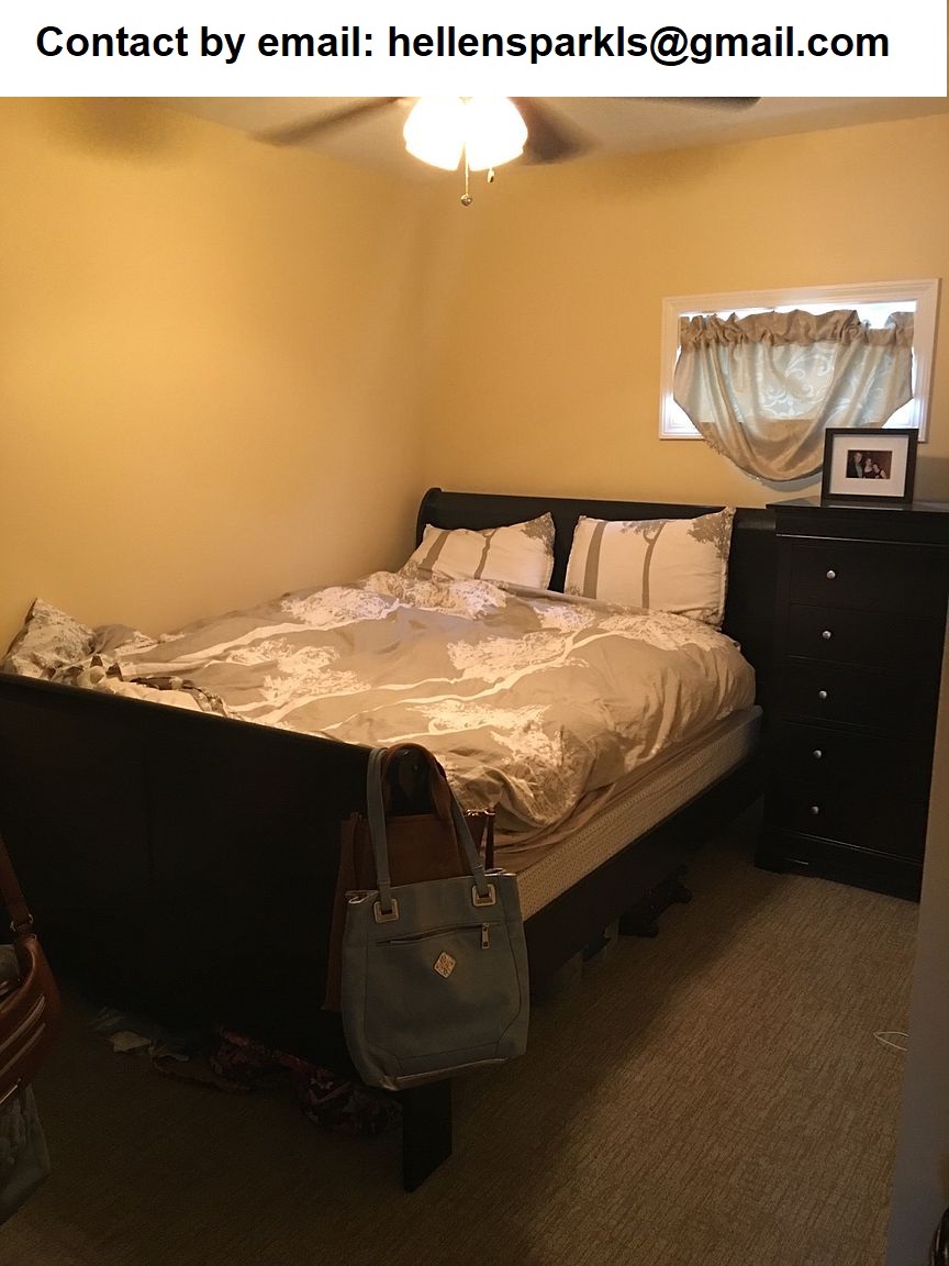 Completely renovated 1bd,1ba apartment photo 2