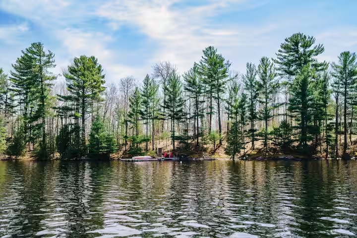Lakeside Cottage on Horseshoe Lake – 2BR photo 2