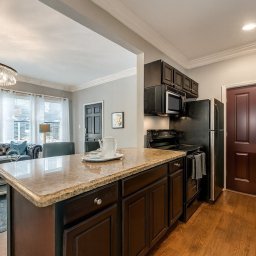 Spacious 1BR Getaway in Historic Dallas photo 3