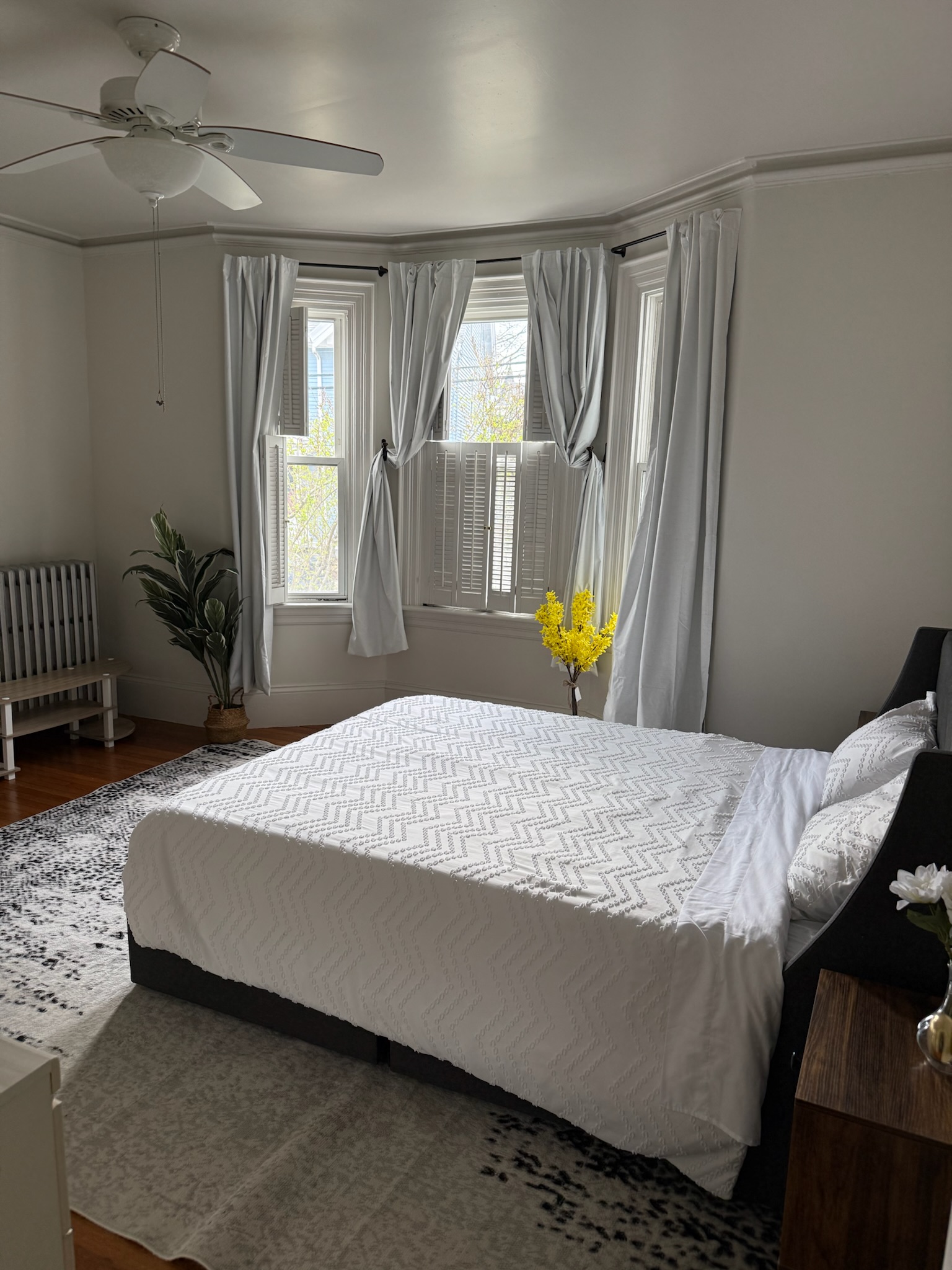 Sun-filled and spacious haven near Longwood  photo 2