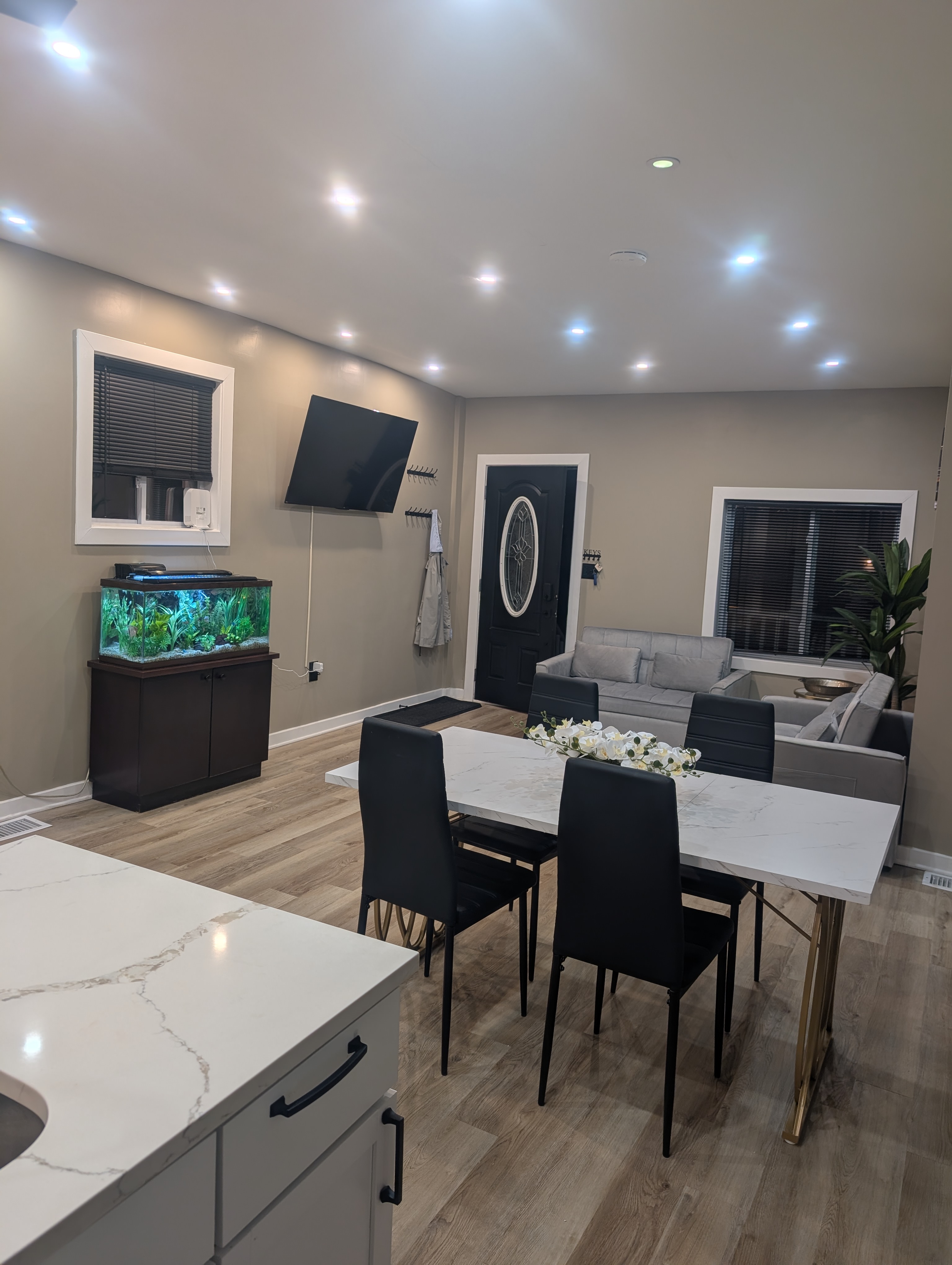 Newly Renovated Modern Home-Lawerenceville PA photo 3