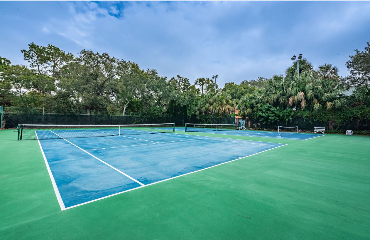 St Petersburg Central Condo -Beach and Pool Access photo 2