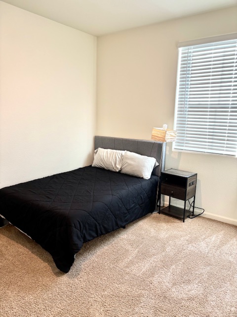 The perfect Pet-Friendly Midterm Rental  photo 3
