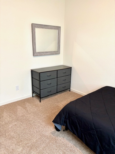 The perfect Pet-Friendly Midterm Rental  photo 4