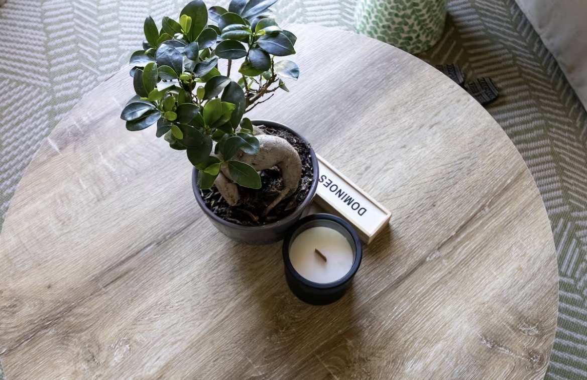 Serene Studio With Stunning Mountain Views photo 4