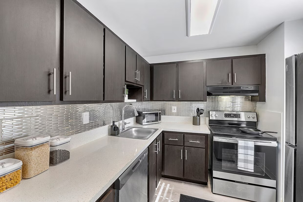 Luxury One Bedroom Apartment  photo 3