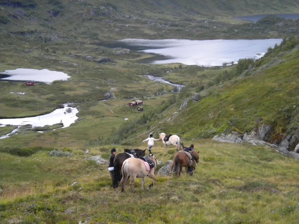 Trekking in Norwegian countryside