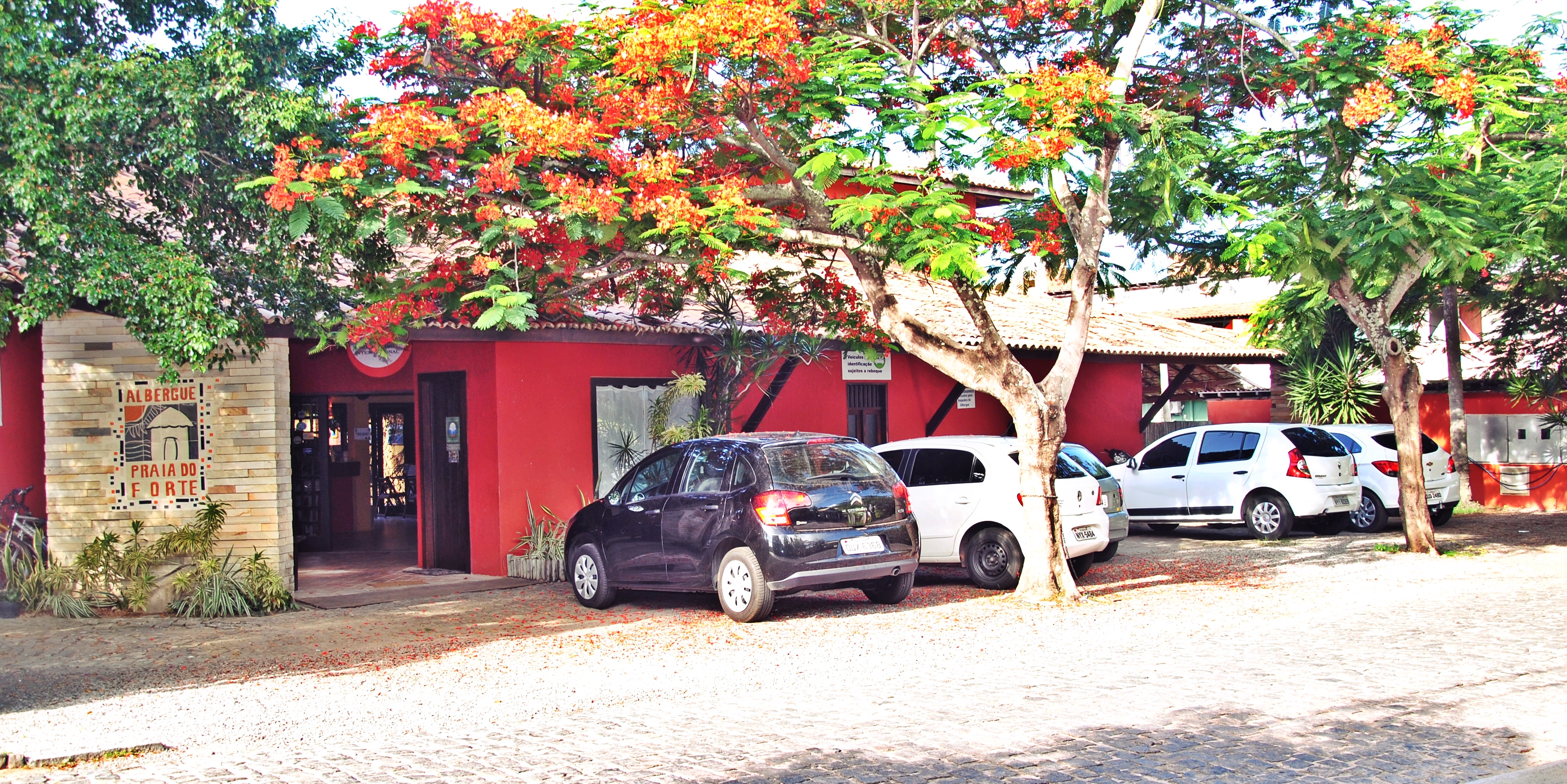 Praia do Forte Hostel