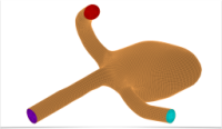Bio-Medical