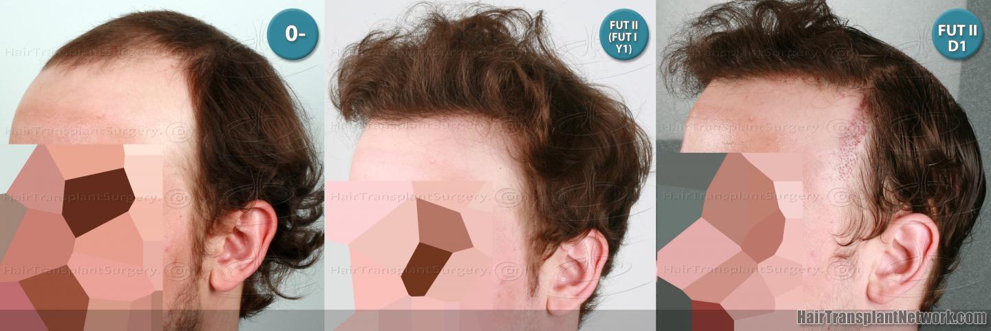 D.jpg