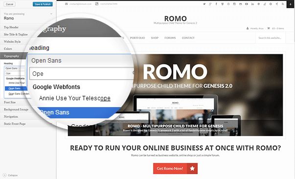 Romo - Theme Customizer