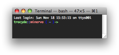 My Custom Bash Terminal