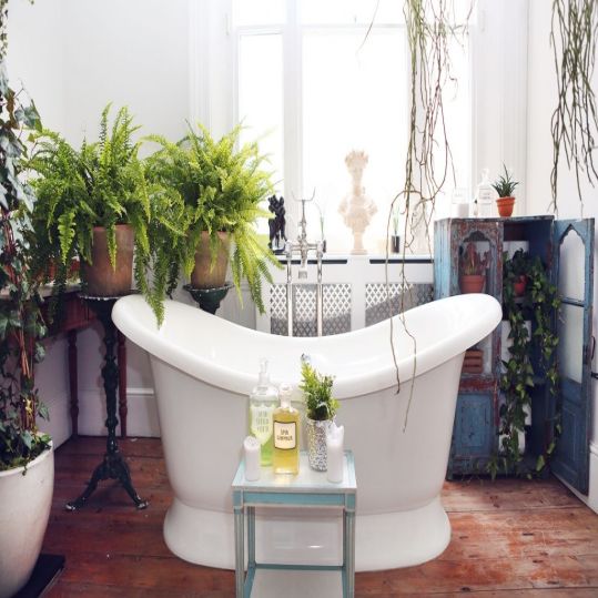Yuk Hias Kamar Mandi dengan Tanaman Hidup! | SARAÈ Blog
