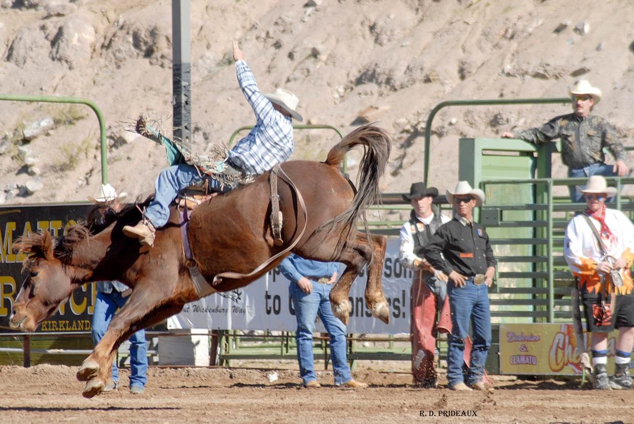 Annual Gold Rush Days Visit Arizona