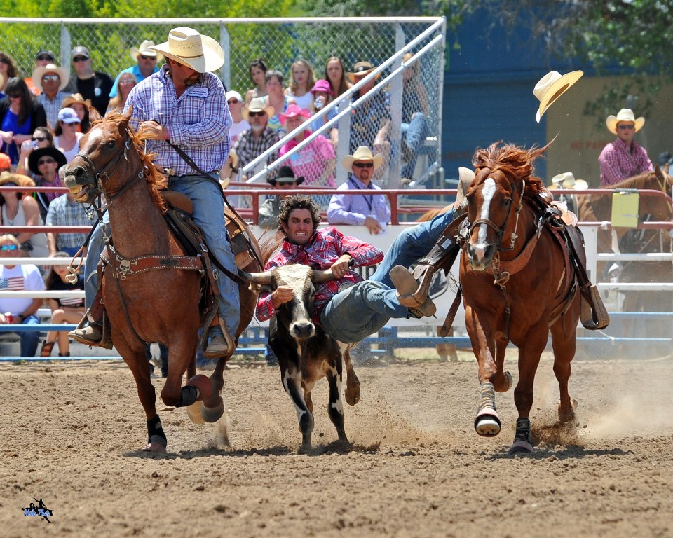 132nd Annual Prescott Frontier Days World #39 s Oldest Rodeo Visit Arizona