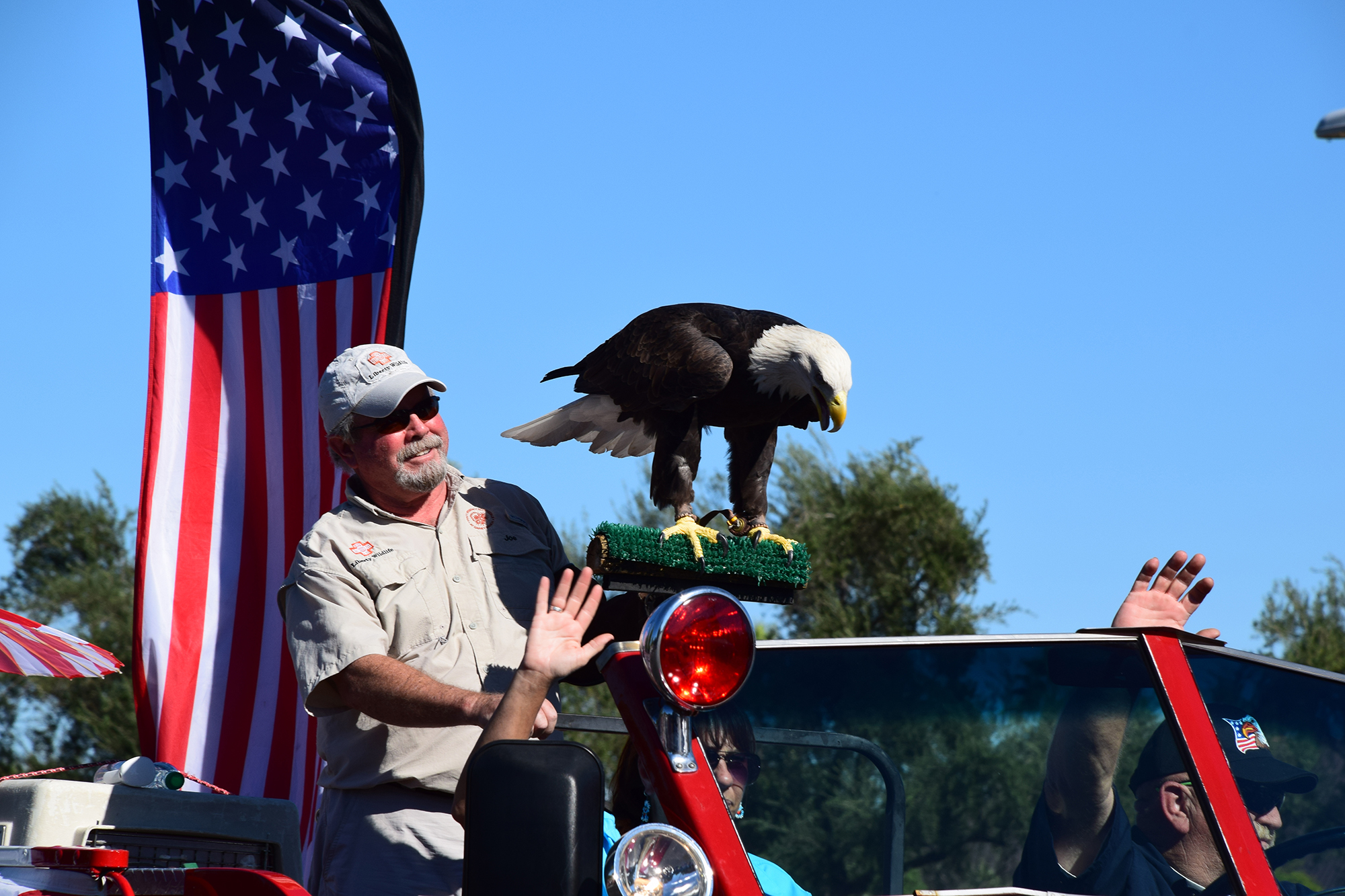 21st Annual Phoenix Veterans Day Parade Visit Arizona