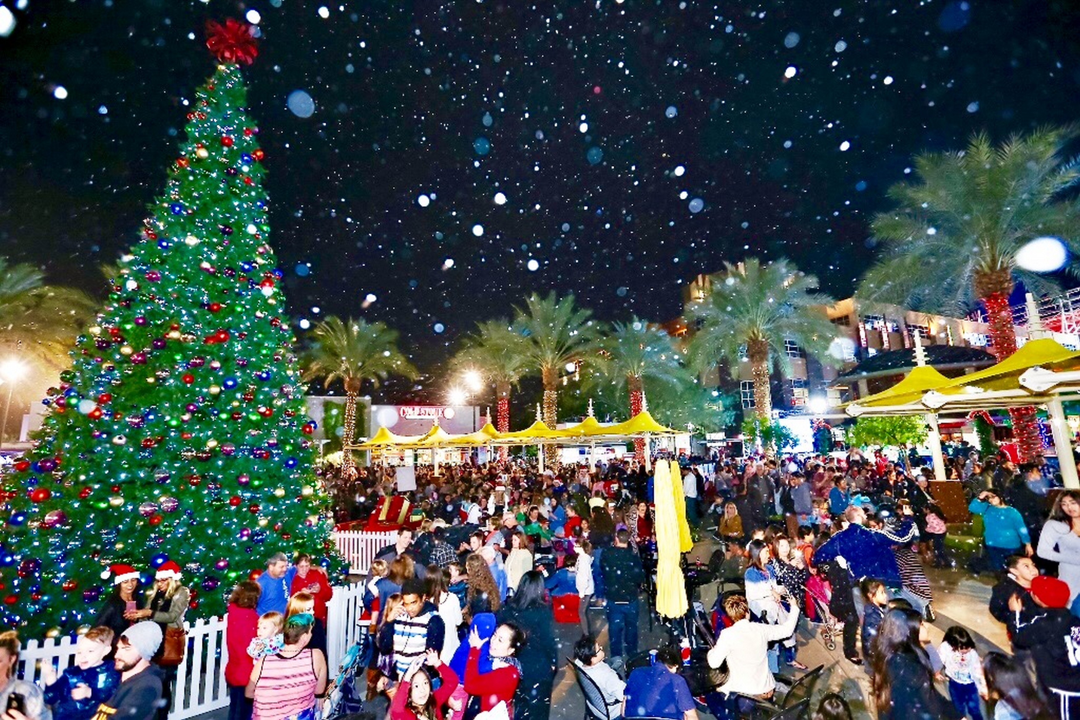 Skate Westgate Visit Arizona