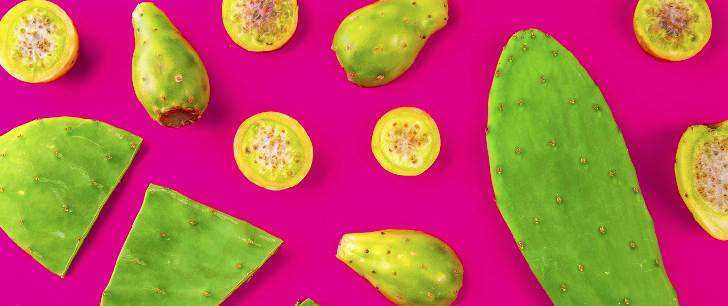 Cactus Bites Visit Arizona