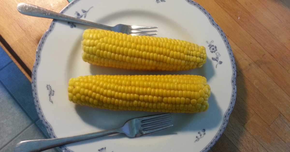 hur kokar man majskolvar hur kokar man majskolvar